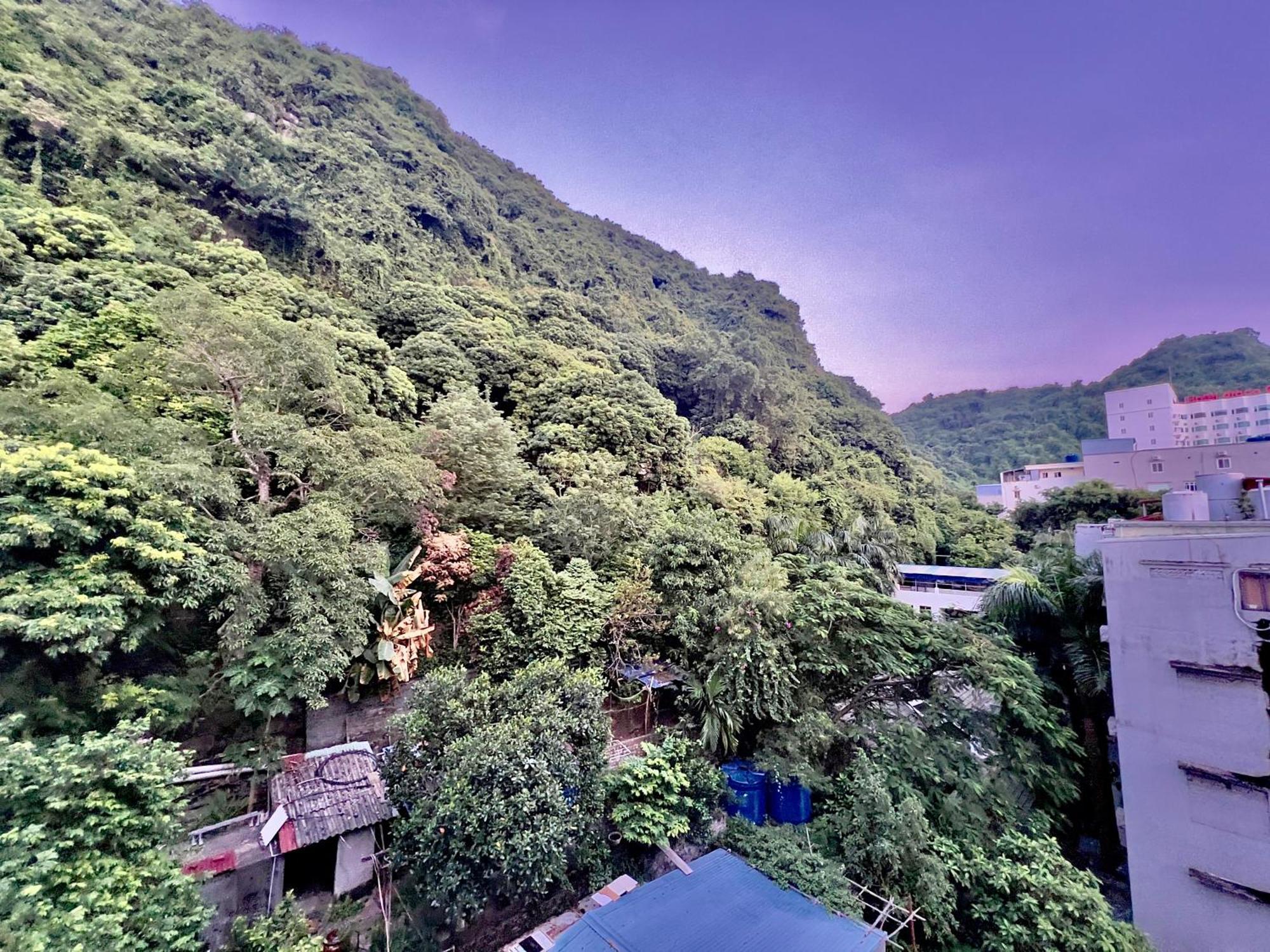 Manh Vuong Hotel Catba Dong Khe Sau Dış mekan fotoğraf
