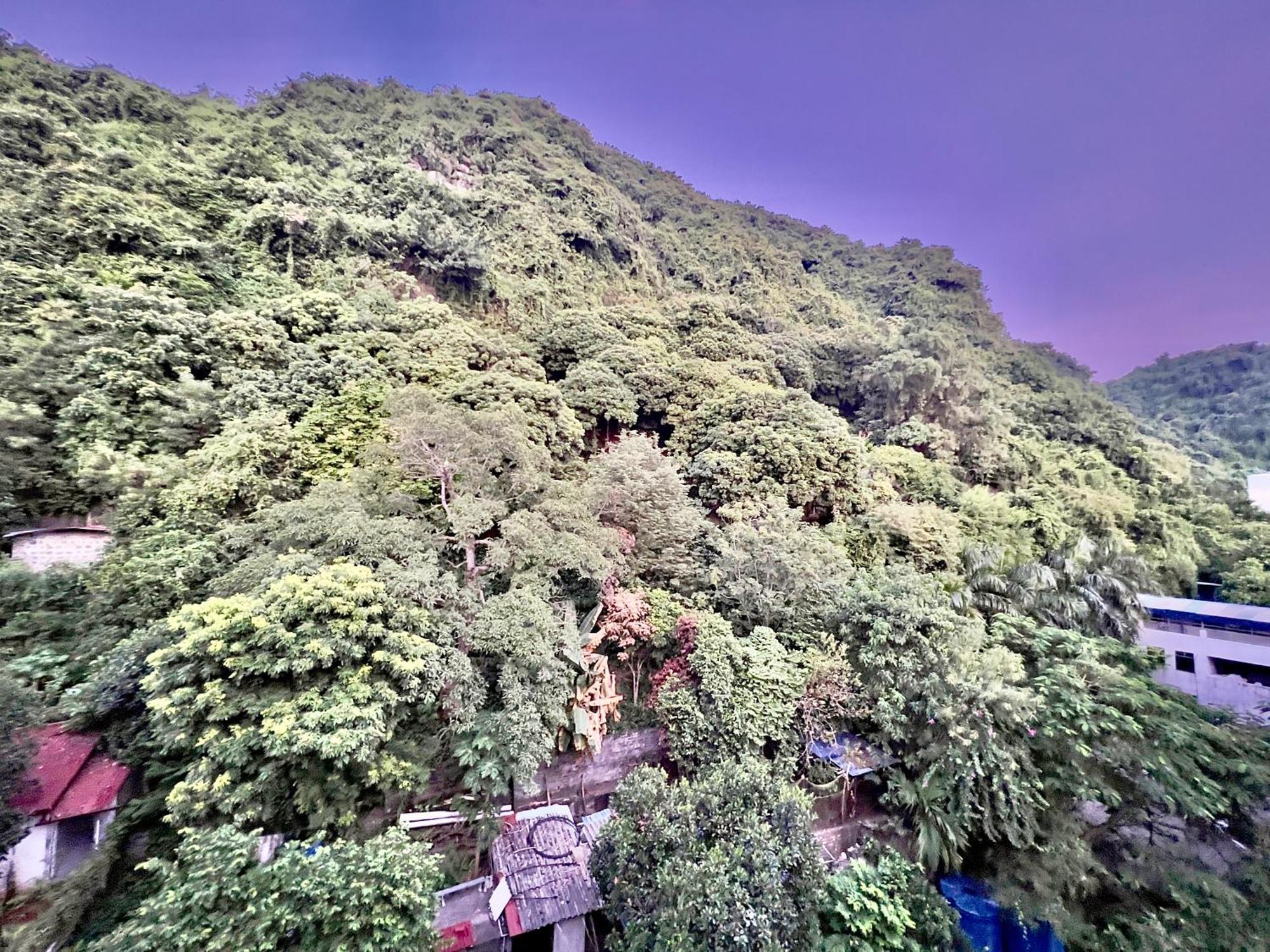 Manh Vuong Hotel Catba Dong Khe Sau Dış mekan fotoğraf