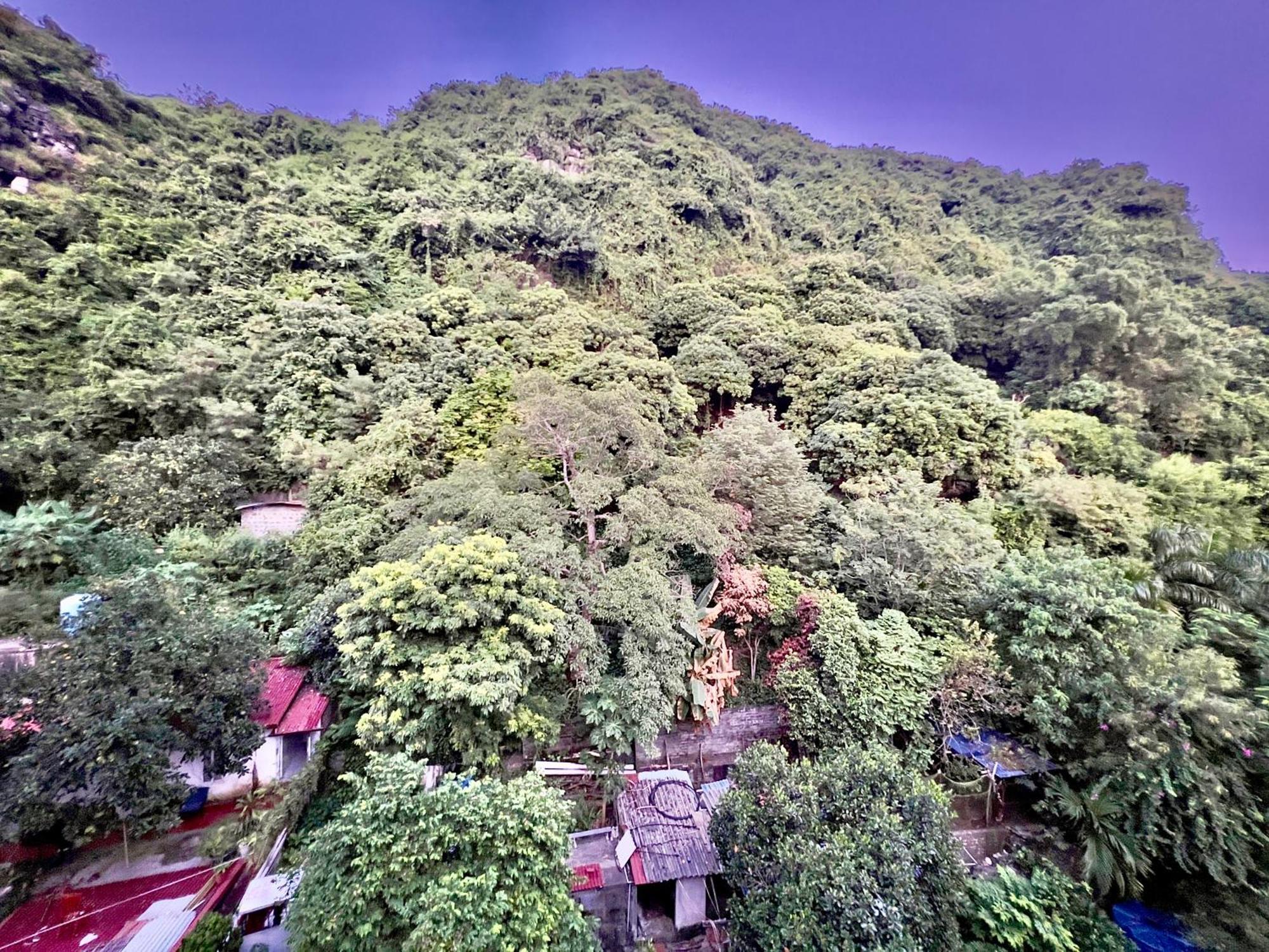 Manh Vuong Hotel Catba Dong Khe Sau Dış mekan fotoğraf